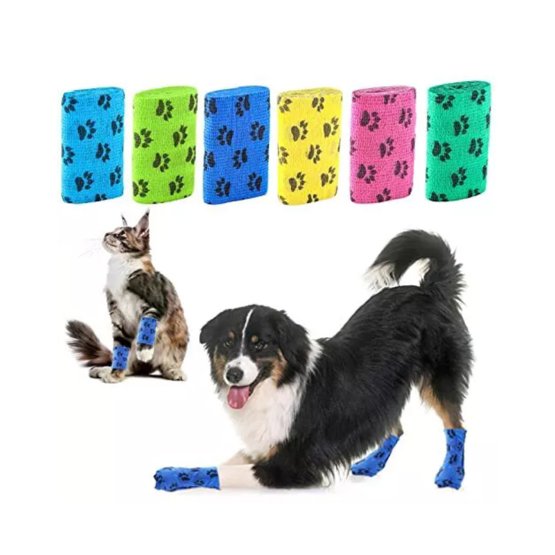 Pet strumpor